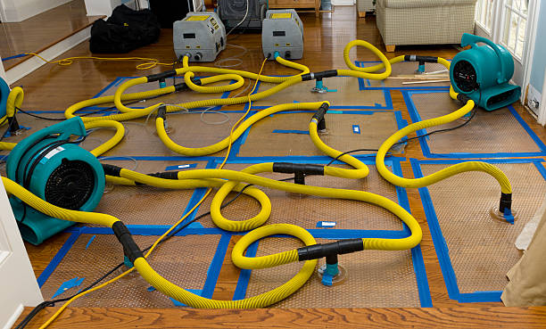 Professional Flood Damage Restoration technician working in Cornville, AZ